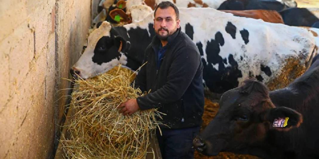 Mühendislikten vazgeçti hayvancılığa başladı! Eğitimleri onu daha da yükseltti: 4 taneyle başladı sayılarını 45’e çıkardı 5